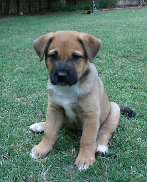 Walter