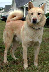 Basco-Courtesy