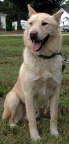 Basco-Courtesy