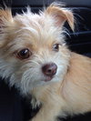 Roxy