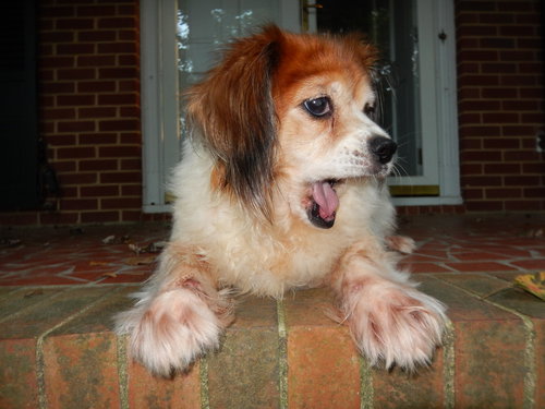 CeCe - Courtesy