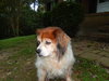 CeCe - Courtesy