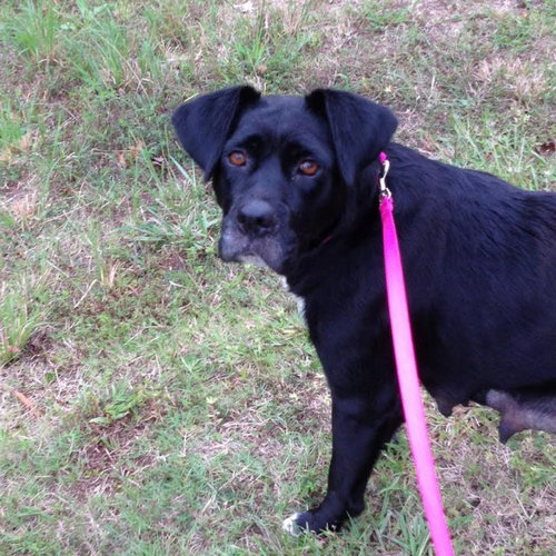 Lizzie - Courtesy