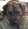 Ben - Courtesy