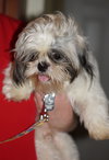 Charley