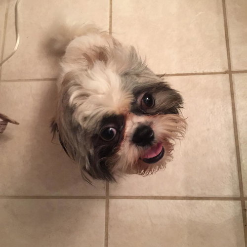 Charley