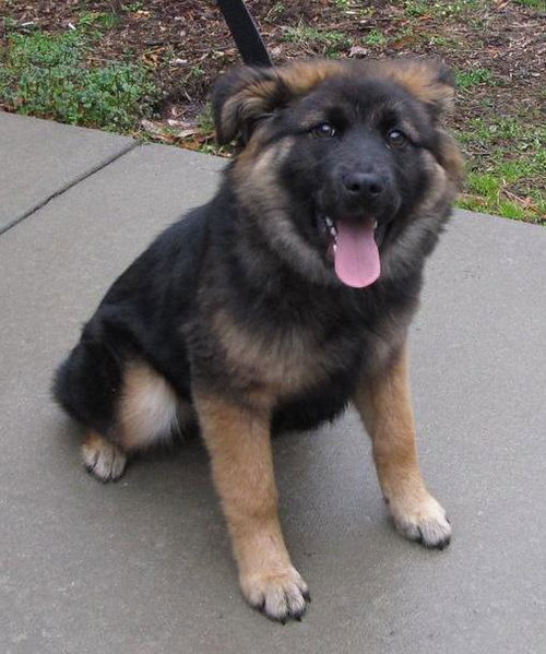 Kilo