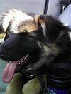 Kilo