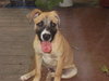 Hooch