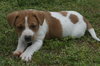 Kilby - Charlie