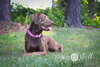 Hershey