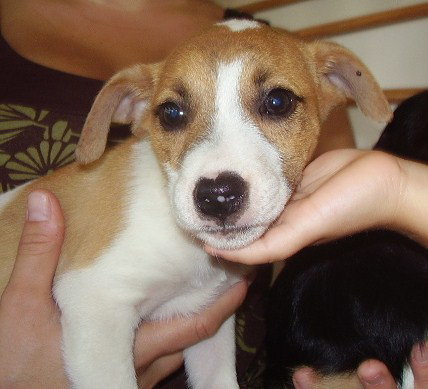 Buster