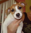 Buster