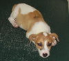 Buster