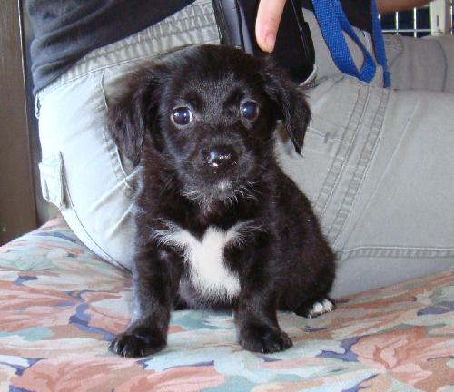Theodore
