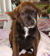Peppermint Patty