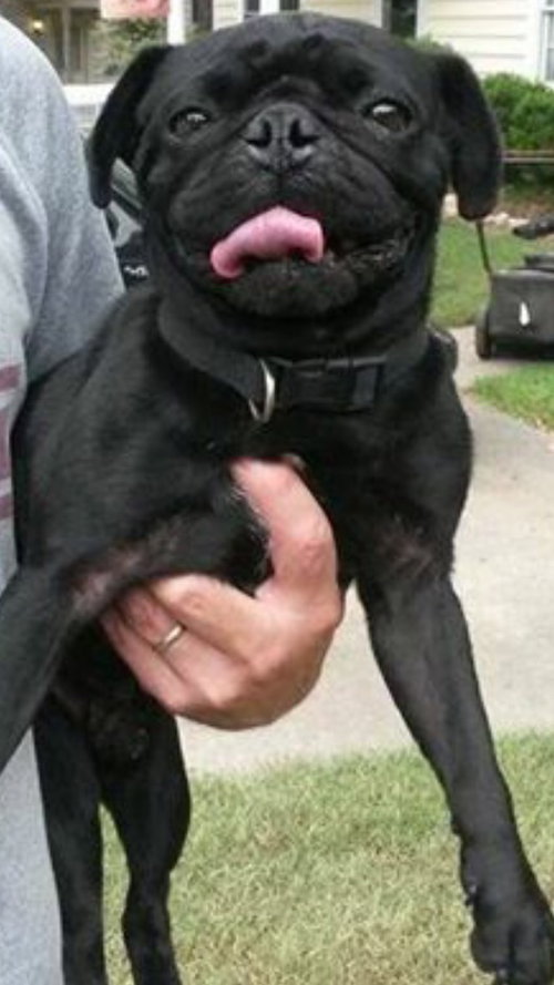 Doug