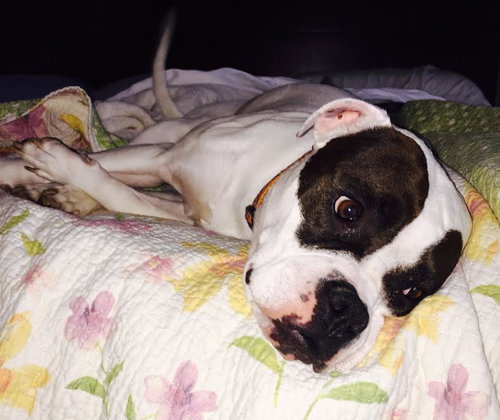Lucy-Courtesy
