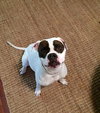 Lucy-Courtesy