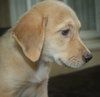 Marley
