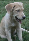 Marley