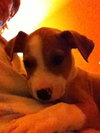 Abby