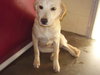 Prue