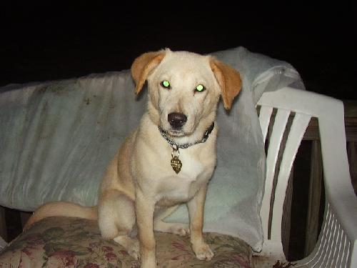 Prue