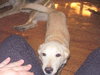 Prue