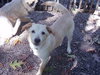 Prue