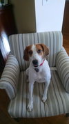 Sasha - Courtesy Listing