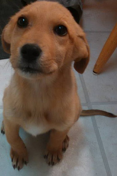 Tater