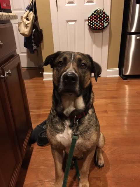 Buddy-Courtesy