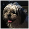Charlie