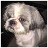 Charlie