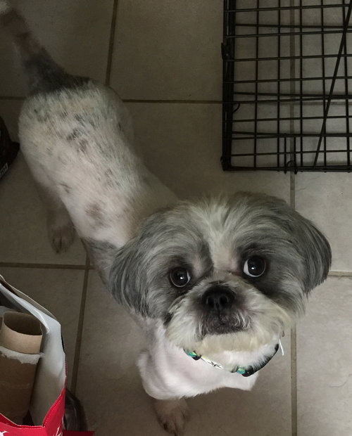 Charlie