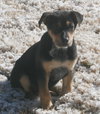 Ruby