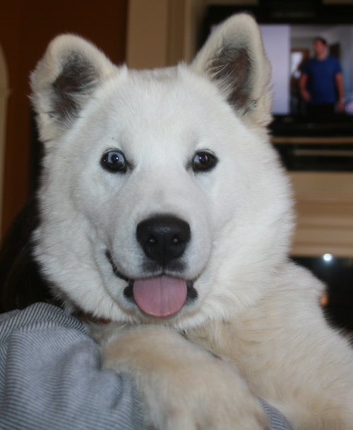Malachi