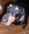 Roscoe