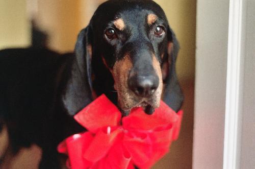 Roscoe