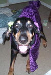 Roscoe
