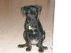 Teyla