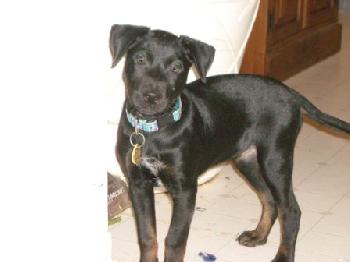 Teyla
