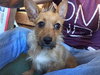 Lady-Courtesy