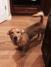 Lucky-Courtesy