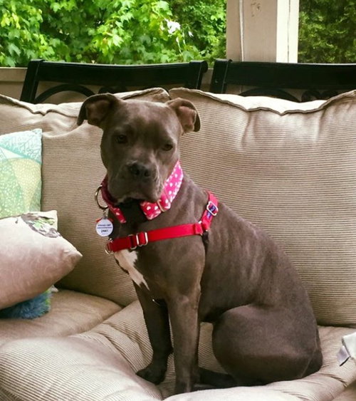 Rosie