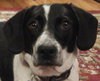 Winston