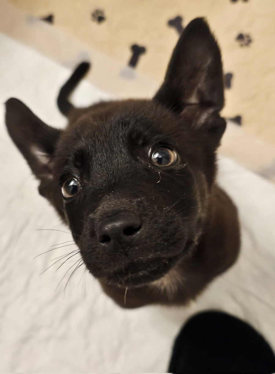 Jax