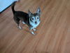 Riley
