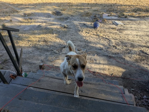Photo 3 of Casey